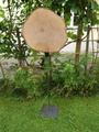 Blatt auf Metall