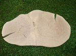 Baumscheibe Eiche 83 cm