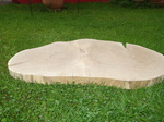 Baumscheibe Eiche 83 cm