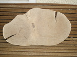 Baumscheibe Eiche 83 cm