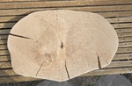 Baumscheibe, Tischplatte Eiche