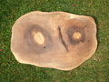 Baumscheibe Tischplatte Walnuss