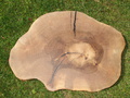 Baumscheibe Tischplatte Walnuss